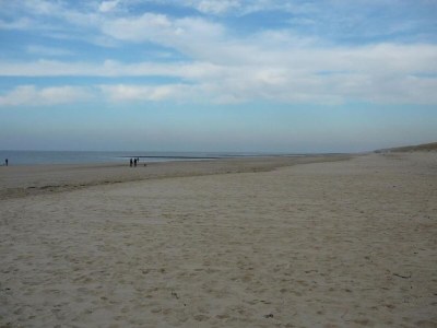Holiday park Wohnung in Nordholland am Strand - Environment photo 31