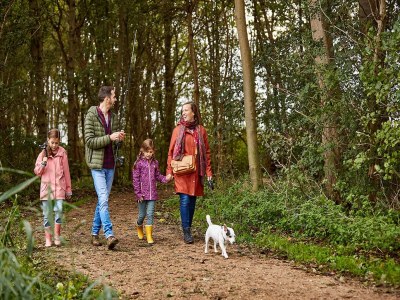 Holiday park Pet-Friendly Getaway - Outdoor photo 37