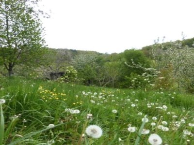Holiday park Dordogne Charm & Comfort - Environment photo 22