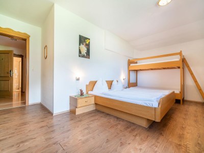 Apartment Apartment Neustift near Stubai Ski Lift - Features photo 13
