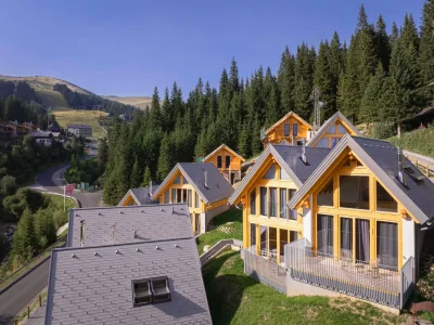 Holiday house Alpine chalet with private sauna in Schoenberg-Lachtal - Holiday house