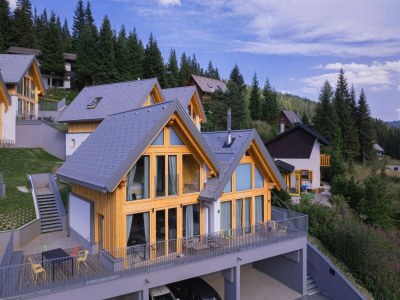 Holiday house Alpine chalet with private sauna - Outdoor photo 3