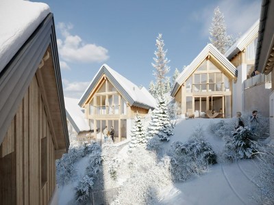 Holiday house Alpine chalet with private sauna - Outdoor photo 11
