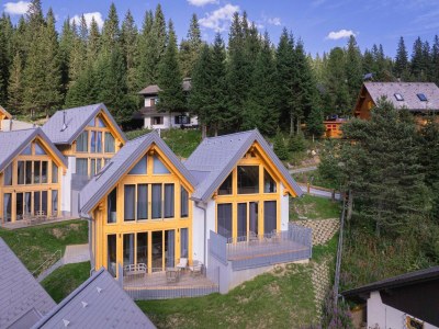 Holiday house Cosy chalet with sauna in Schoenberg-Lachtal - Holiday house