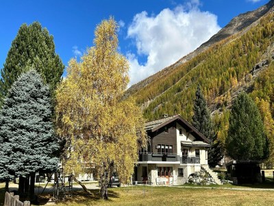Apartment Chalet in Saas Fee near Ski Slopes - Outdoor photo 3