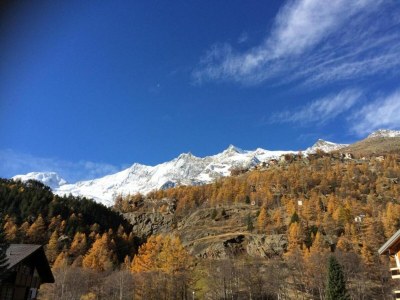 Apartment Chalet in Saas Fee near Ski Slopes - Environment photo 29