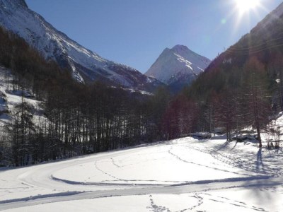 Apartment Chalet in Saas Fee near Ski Slopes - Environment photo 31