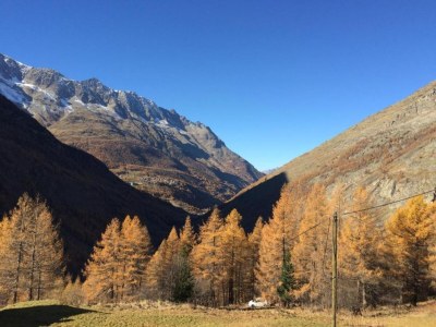 Chalet Chalet Stadel: Alpiner Komfort - Environment photo 33