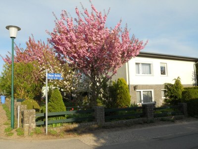 Apartment Schצne Wohnung in Krצpelin in der Nהhe von Meer in Mecklenburg Coast - Apartment