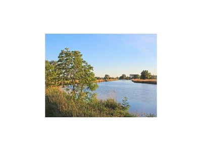 House boat Hausboot in Ueckermuende - Environment photo 17