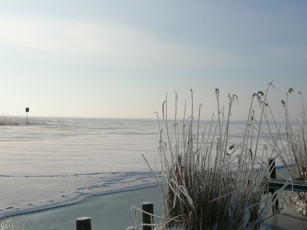 Apartment Charmantes Dachgeschoss-Refugium, Usedom - Outdoor photo 4