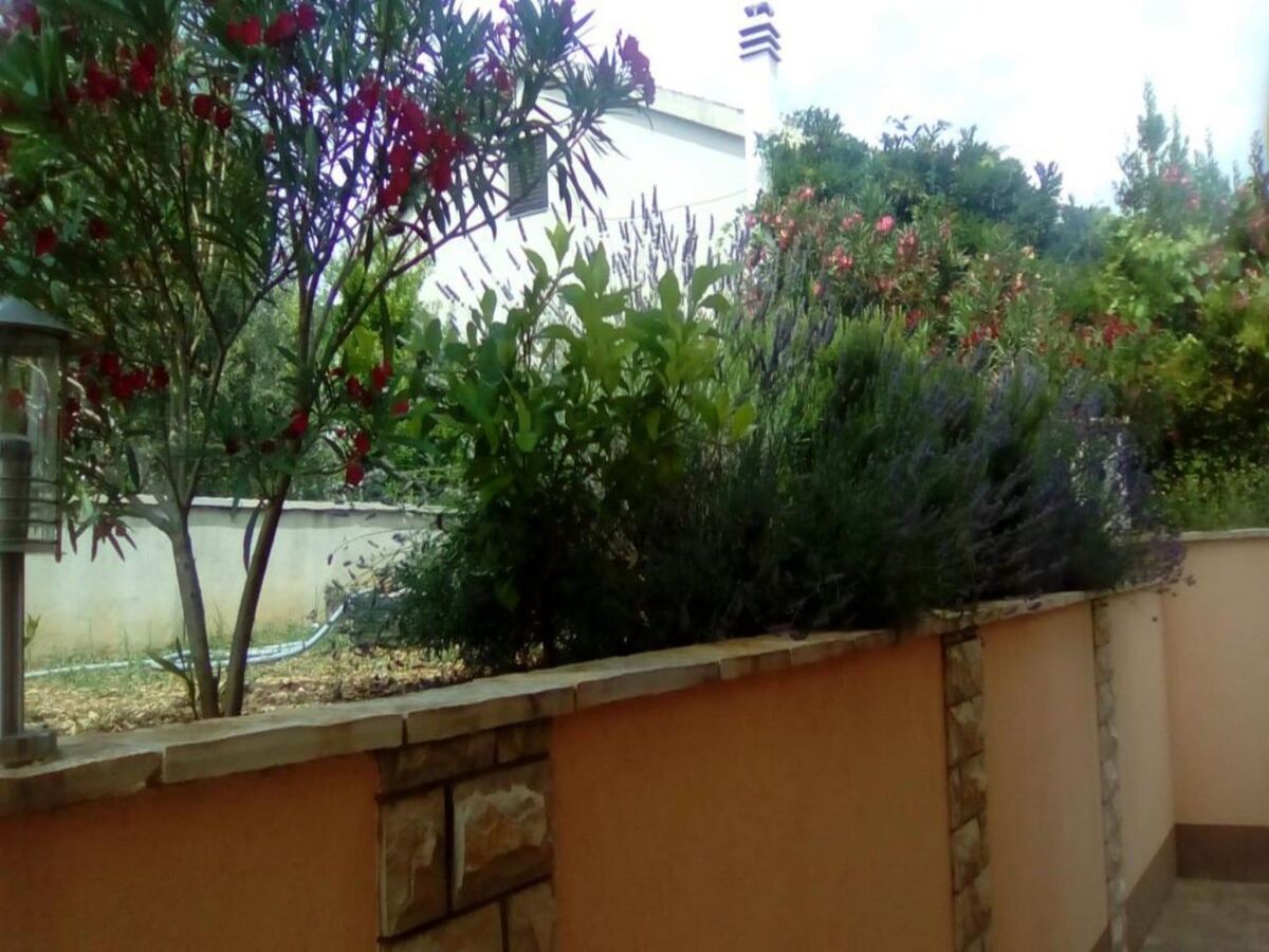 Apartment Apartments Vala - Studio Apartment with Sea View A5 - Outdoor photo 2