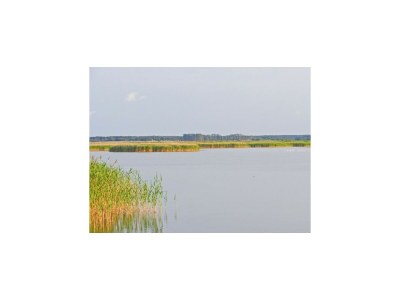 House boat Hausboot in Barth am Barther Bodden - Environment photo 14