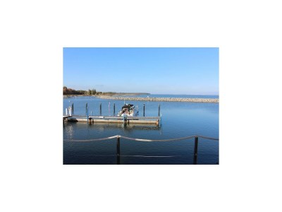 House boat Hausboot in Barth am Barther Bodden - Environment photo 18