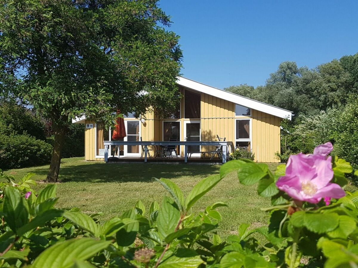 Holiday house Ferienhaus im Ferienpark Mueritz - Outdoor photo 2
