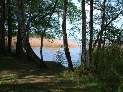 Holiday house skandinavisches Ferienhaus in Rechlin - Environment photo 20
