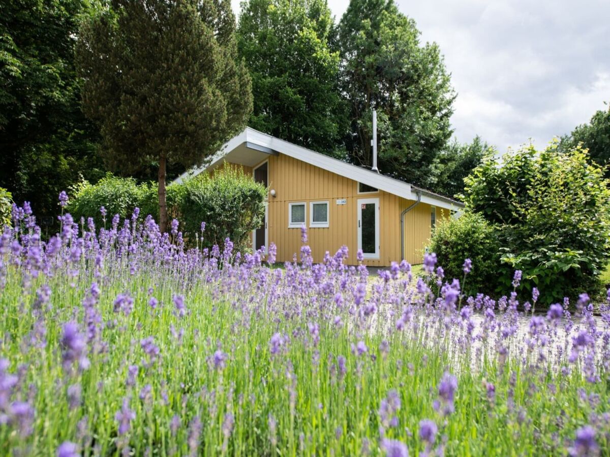 Holiday house Ferienhaus mit Sauna im Ferienpark Mirow