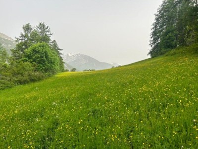 Apartment Studio in Allos with Stunning Mountain Views - Environment photo 20