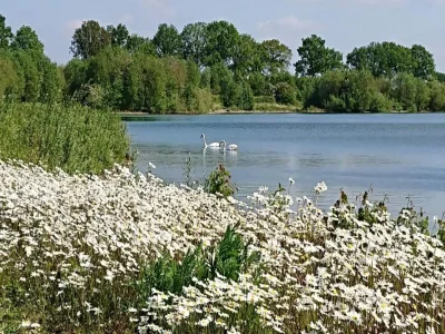 Holiday park Ferienhaus in Plasmolen nahe Seen - Environment photo 28