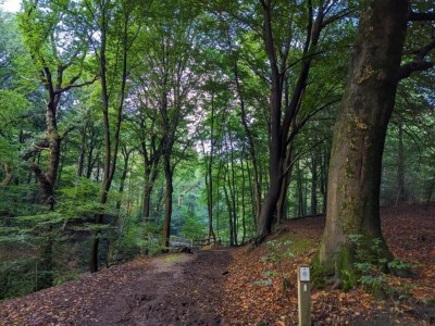 Holiday park Ferienhaus in Plasmolen nahe Seen - Environment photo 31