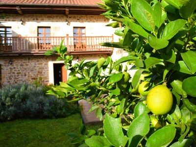 Holiday house Vuelta Abajo in Cartes (Cantabria) - Holiday house
