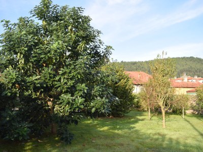 Holiday house Vuelta Abajo - Outdoor photo 8