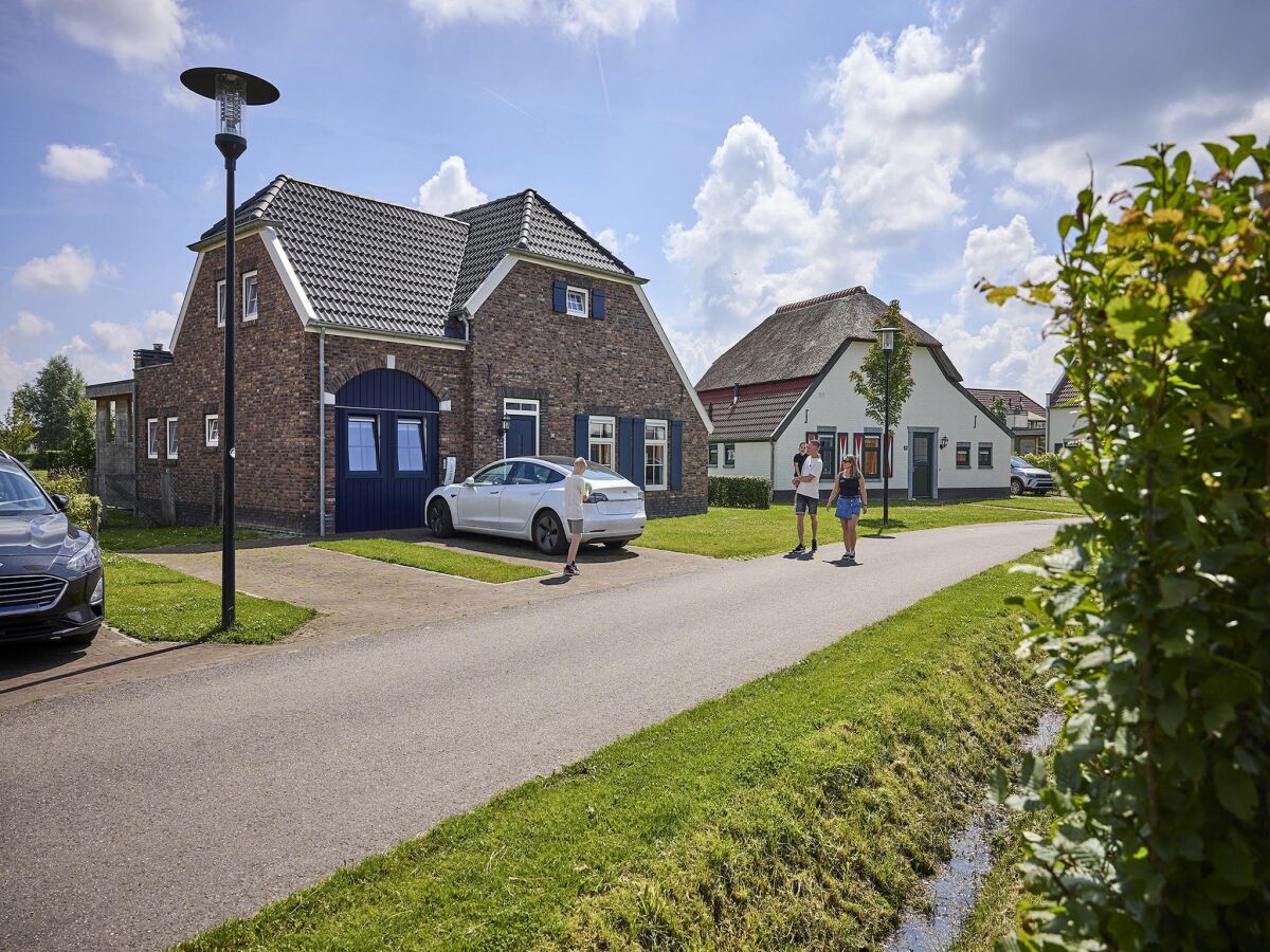 Holiday park Farmhouse in Limburg with Sauna & BBQ - Outdoor photo 2