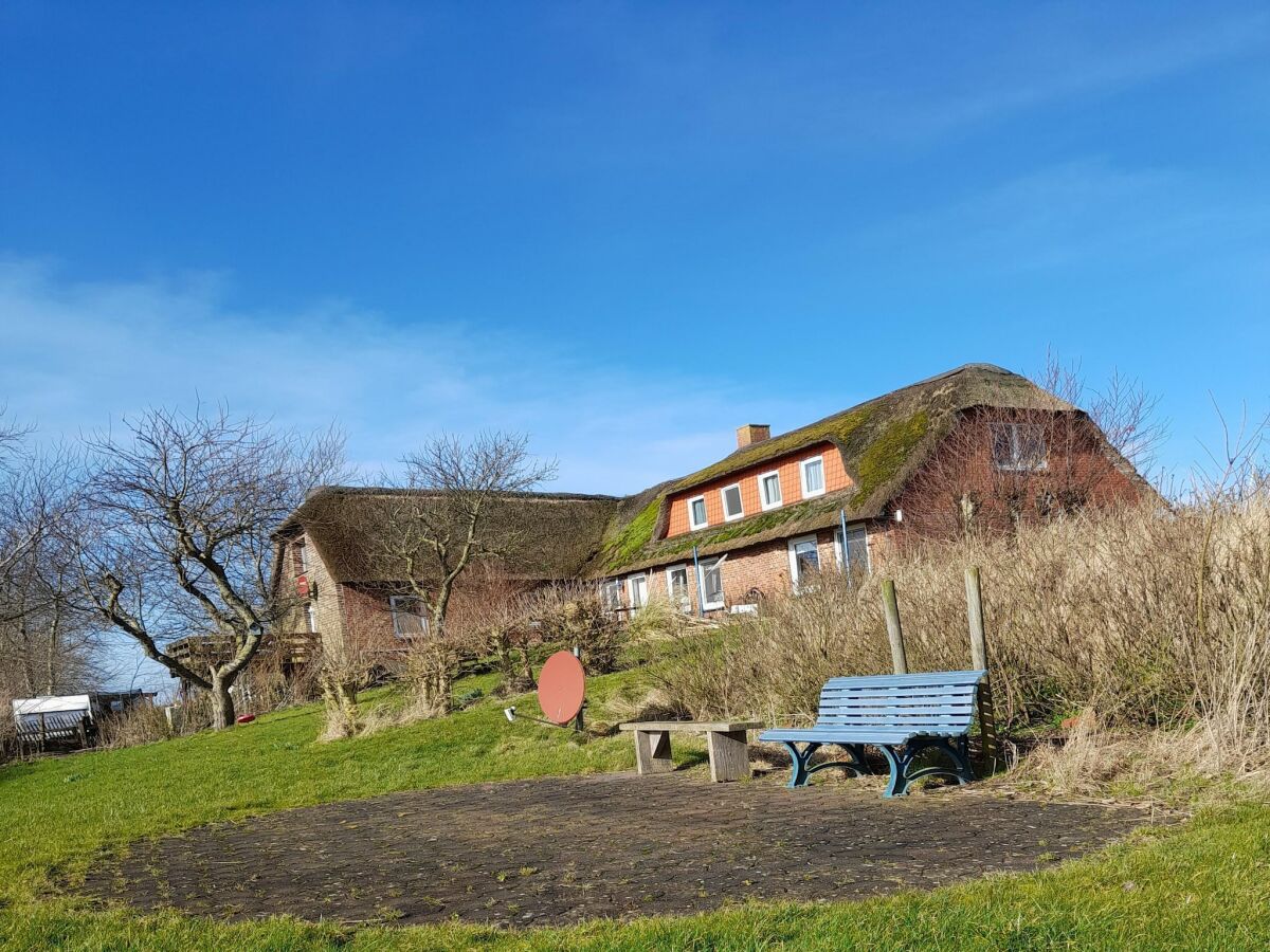 Holiday house Opas Hus auf Pellworm - Outdoor photo 2