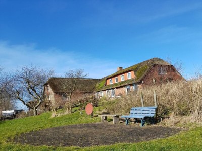 Holiday house Opas Hus auf Pellworm - Outdoor photo 5