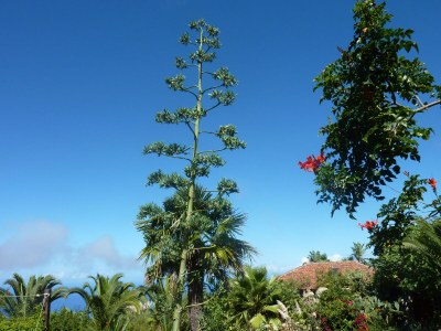 Holiday house Finca "Vista bonita" - Casa Vista - Outdoor photo 8