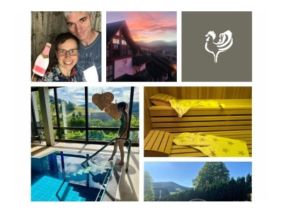 Holiday apartment Superior Appartement Goldender Hahn in Baiersbronn - Holiday apartment