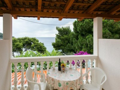 Apartment Apartments Franka Saplunara-Twin Room with Terrace and Sea view  No1 in Mljet - Apartment