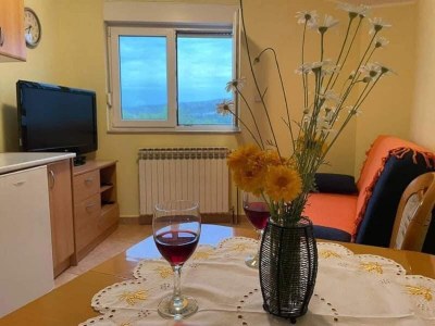 Apartment Apartment Luka - One Bedroom Apartment with Balcony and Sea View - Features photo 2