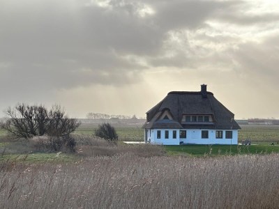 Holiday house Meergut - Outdoor photo 5