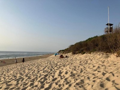 Holiday park Apartment in Biscarrosse near Sandy Beach - Environment photo 18