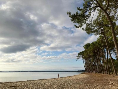Holiday park Apartment in Biscarosse near Sandy Beach - Environment photo 18
