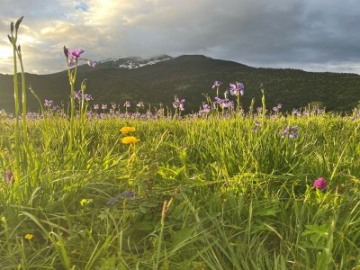 Apartment Apartment in Tyrol near ski area - Outdoor photo 13