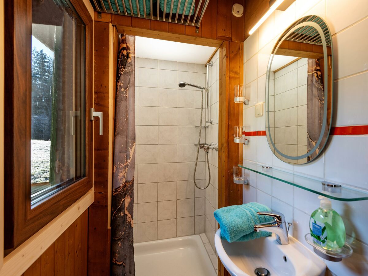 Apartment Hütte "Beizwies"