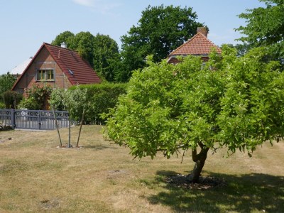 Holiday house Ferienhaus in Fehmarn OT Köpendorf - Environment photo 25