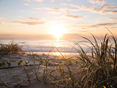 Apartment Family-Friendly Stay, Ostsee - Environment photo 22