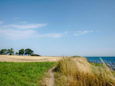 Apartment Family-Friendly Stay, Ostsee - Environment photo 43