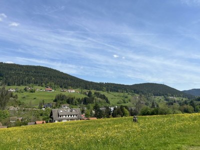 Apartment Ferienwohnung Auszeit im Murgtal - Outdoor photo 9