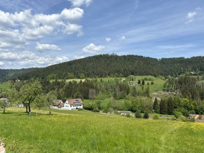Apartment Ferienwohnung Auszeit im Murgtal - Outdoor photo 10
