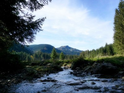 Apartment Ferienhaus Guffertblick - Outdoor photo 24