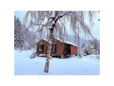 Apartment Tiny House "Wald" für 4 Personen in Unken - Apartment