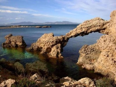 Apartment Apartment in Costa Brava near Sandy Beaches - Environment photo 10