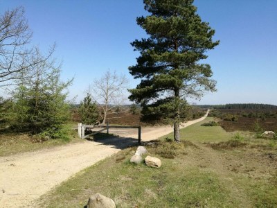Holiday house Holiday home in Central Jutland - Outdoor photo 33