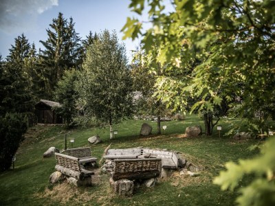 Holiday park Luxury chalet with private sauna in Uttendorf - Environment photo 20