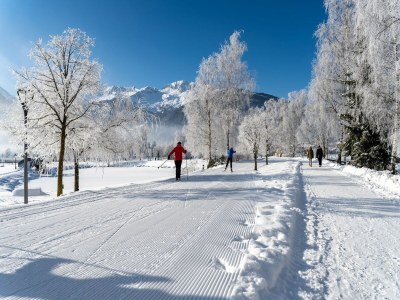 Holiday park Luxury chalet with private sauna in Uttendorf - Environment photo 22