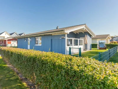 Holiday house Amrum in Dagebüll - Holiday house